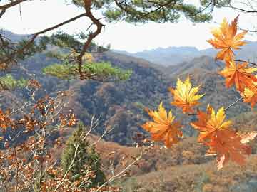 湖里區(qū)財務咨詢公司權威排名揭曉，專業(yè)服務品質與信譽之戰(zhàn)