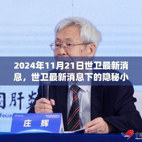 世衛(wèi)最新消息背后的隱秘小巷美食探秘之旅（2024年11月21日）