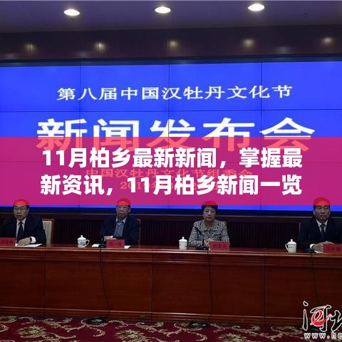 11月柏鄉(xiāng)新聞速遞，最新資訊一覽與理解新聞詳情的步驟指南