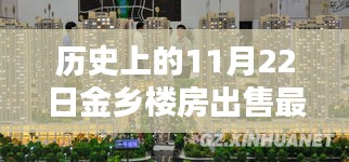 歷史上的今天，揭秘金鄉(xiāng)樓房出售最新消息，獨家報道于11月22日