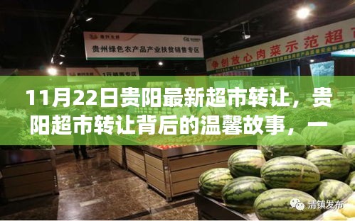 貴陽超市轉(zhuǎn)讓背后的溫馨故事，緣分與陪伴的邂逅之旅