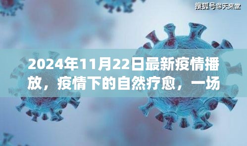 2024年11月22日最新疫情播放，疫情下的自然療愈，一場(chǎng)尋找內(nèi)心平靜的奇妙旅行，2024年11月22日的美麗新世界