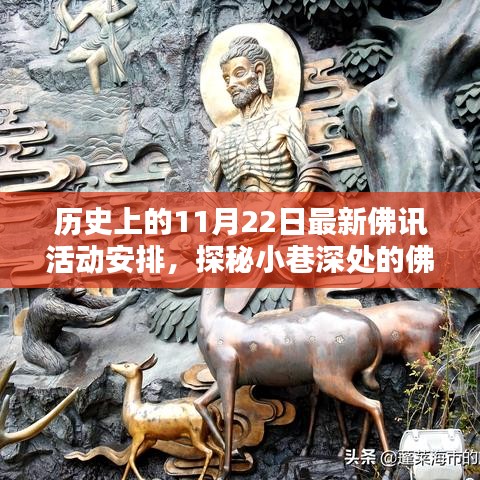 歷史上的11月22日佛訊活動揭秘，小巷深處的盛宴與最新動態