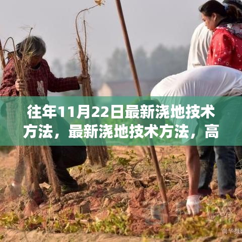 最新高效灌溉技術助力農業可持續發展，11月22日最新澆地技術方法解析