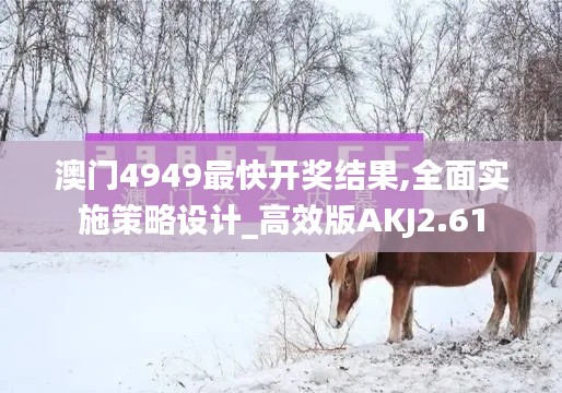 澳門4949最快開獎(jiǎng)結(jié)果,全面實(shí)施策略設(shè)計(jì)_高效版AKJ2.61
