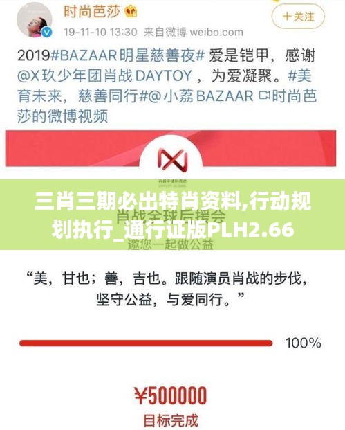 三肖三期必出特肖資料,行動(dòng)規(guī)劃執(zhí)行_通行證版PLH2.66