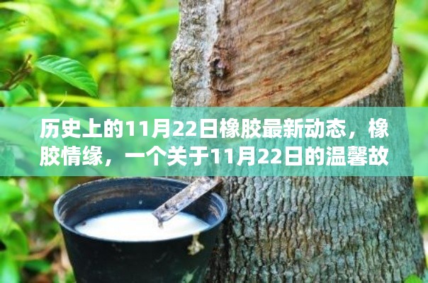 歷史上的橡膠情緣，揭秘橡膠最新動(dòng)態(tài)與溫馨故事