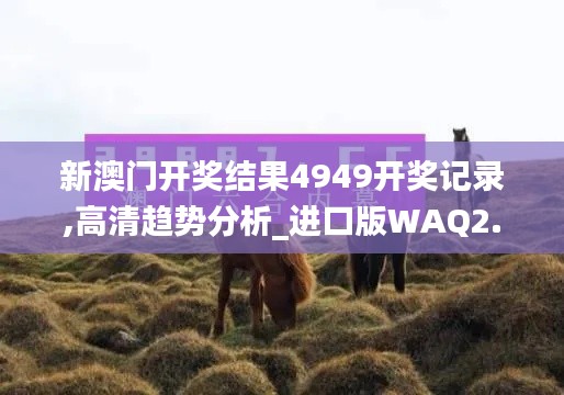 新澳門開獎結果4949開獎記錄,高清趨勢分析_進口版WAQ2.31