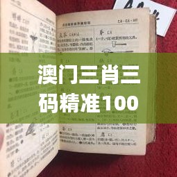 澳門三肖三碼精準(zhǔn)100%新華字典332期,最新答案詮釋說明_零障礙版QES11.53