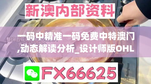 一碼中精準一碼免費中特澳門,動態(tài)解讀分析_設(shè)計師版OHL2.11