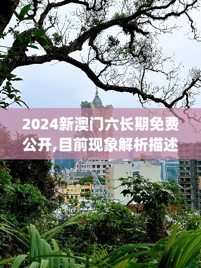 2024新澳門六長期免費公開,目前現(xiàn)象解析描述_增強版BHE2.78
