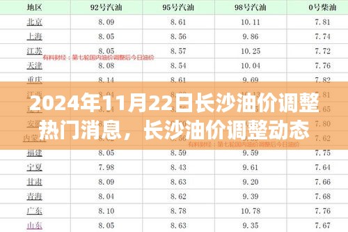 2024年11月22日長(zhǎng)沙油價(jià)調(diào)整動(dòng)態(tài)及熱門消息聚焦