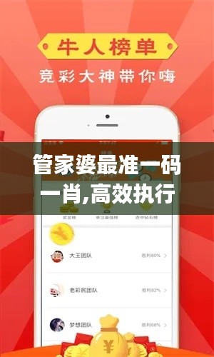 管家婆最準一碼一肖,高效執(zhí)行方案_別致版YAA2.72