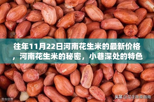 河南花生米價格揭秘，特色小店與驚喜價格之旅