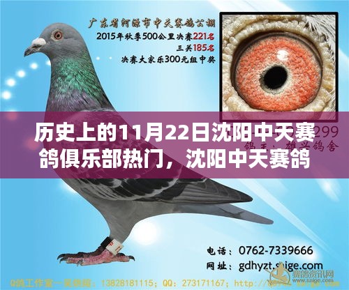 氣宇軒昂 第6頁