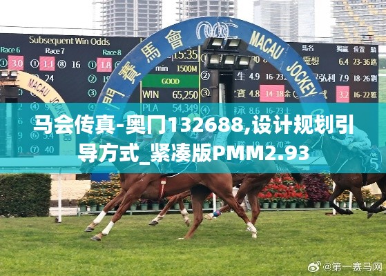 馬會傳真-奧冂132688,設計規劃引導方式_緊湊版PMM2.93