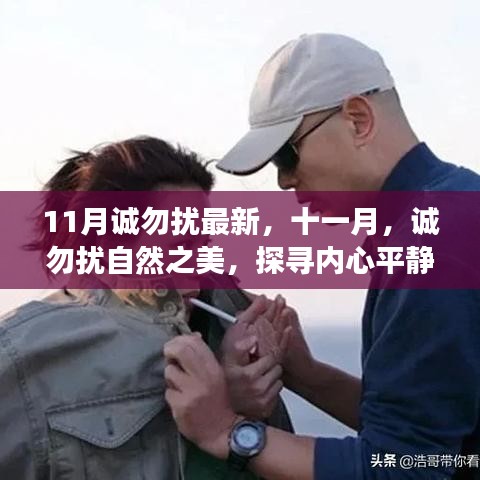 十一月自然之美探尋之旅，誠(chéng)勿擾的內(nèi)心平靜奇妙之旅