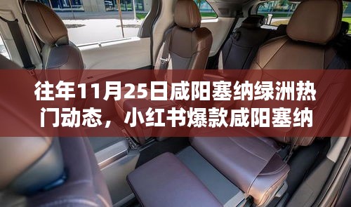 咸陽塞納綠洲11月25日精彩瞬間，小紅書爆款與熱門動態回顧