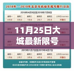 大城最新限號查詢指南，初學者與進階用戶適用（11月25日更新）