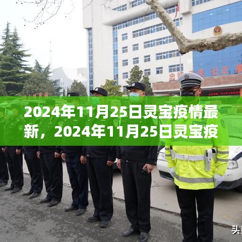 初學(xué)者與進階用戶必讀，2024年11月25日靈寶疫情最新情況及應(yīng)對指南