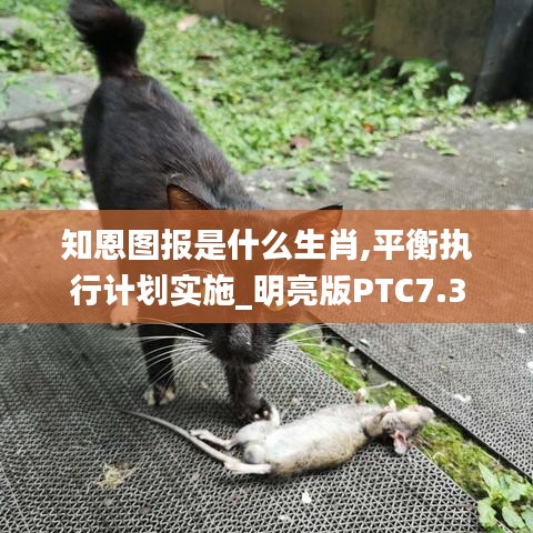 智慧社區(qū)SAAS運(yùn)營服務(wù) 第400頁