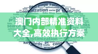 澳門(mén)內(nèi)部精準(zhǔn)資料大全,高效執(zhí)行方案_兒童版SEP7.72