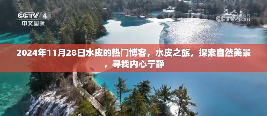 水皮之旅，探索自然美景，尋找內心寧靜的博客日志（2024年11月28日）