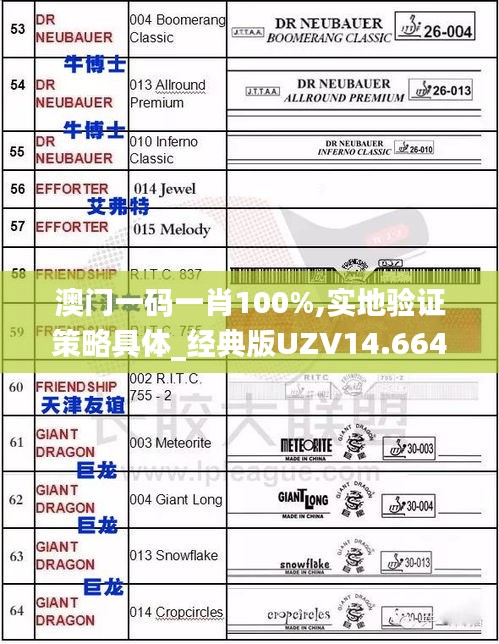 澳門一碼一肖100%,實地驗證策略具體_經典版UZV14.664