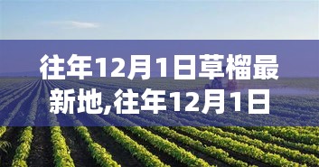 往年12月1日探訪草榴最新地，生態、科研與應用價值深度探討