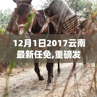 重磅發布，云南科技新品閃耀登場，智能革新體驗引領科技魅力
