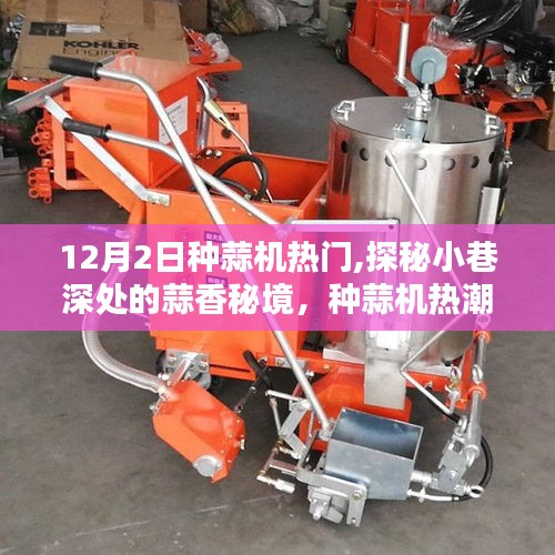 探秘小巷深處的蒜香秘境，種蒜機(jī)熱潮下的獨(dú)特小店，揭秘?zé)衢T種蒜機(jī)背后的故事