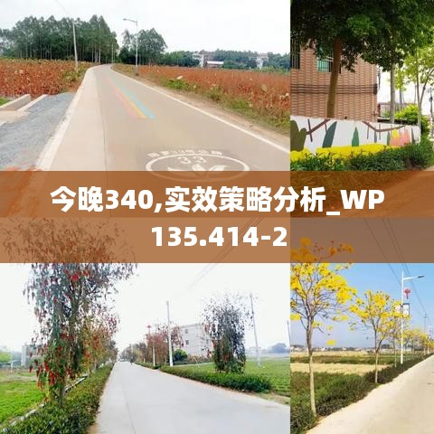 今晚340,實(shí)效策略分析_WP135.414-2
