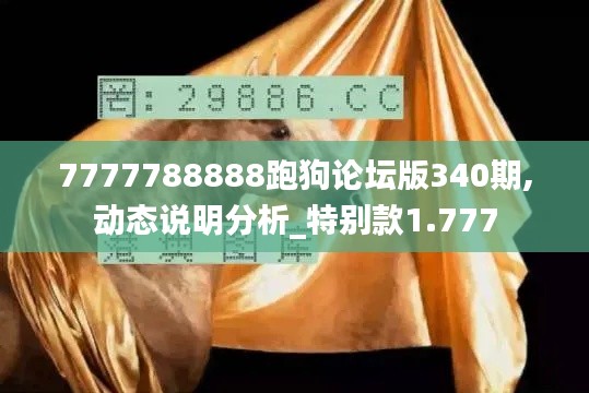 7777788888跑狗論壇版340期,動態(tài)說明分析_特別款1.777