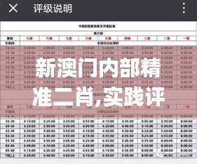 新澳門內(nèi)部精準(zhǔn)二肖,實(shí)踐評估說明_Deluxe4.872