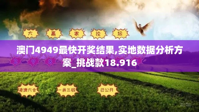 澳門4949最快開獎結果,實地數據分析方案_挑戰(zhàn)款18.916