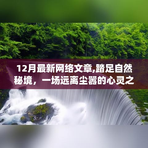踏足自然秘境，一場(chǎng)遠(yuǎn)離塵囂的十二月心靈之旅