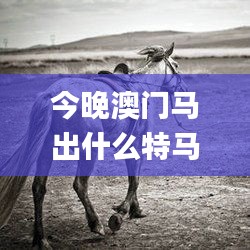 今晚澳門馬出什么特馬,權(quán)威詮釋推進(jìn)方式_Gold8.424