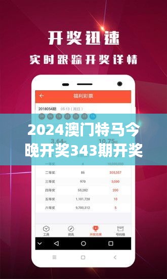2024澳門特馬今晚開獎(jiǎng)343期開獎(jiǎng)結(jié)果,決策資料解釋落實(shí)_C版16.132