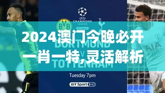2024澳門今晚必開(kāi)一肖一特,靈活解析方案_創(chuàng)意版11.553
