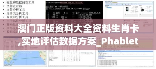 澳門正版資料大全資料生肖卡,實(shí)地評(píng)估數(shù)據(jù)方案_Phablet11.737