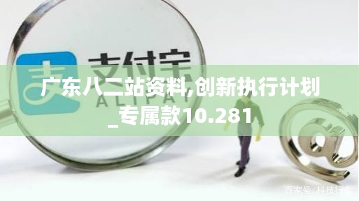 廣東八二站資料,創(chuàng)新執(zhí)行計(jì)劃_專(zhuān)屬款10.281
