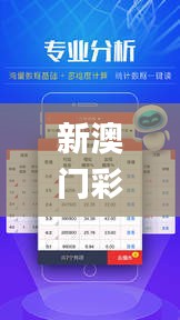 新澳門彩歷史開獎結(jié)果走勢圖,實地數(shù)據(jù)驗證策略_HD10.163