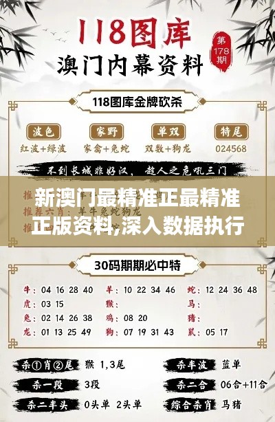 新澳門最精準(zhǔn)正最精準(zhǔn)正版資料,深入數(shù)據(jù)執(zhí)行應(yīng)用_專業(yè)版1.165