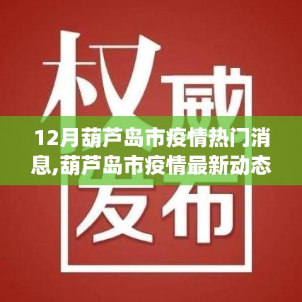 葫蘆島市疫情最新動(dòng)態(tài)解讀，十二月熱門(mén)消息聚焦