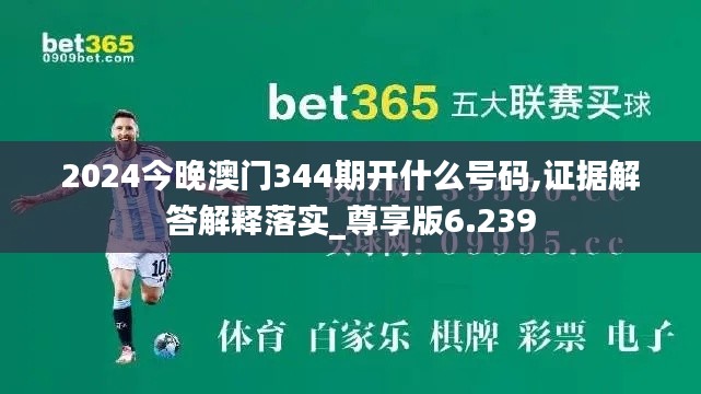2024今晚澳門344期開(kāi)什么號(hào)碼,證據(jù)解答解釋落實(shí)_尊享版6.239