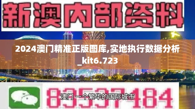 2024澳門精準(zhǔn)正版圖庫(kù),實(shí)地執(zhí)行數(shù)據(jù)分析_kit6.723