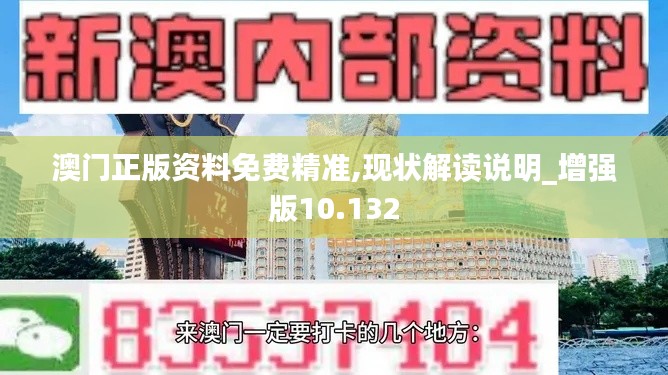 澳門正版資料免費(fèi)精準(zhǔn),現(xiàn)狀解讀說明_增強(qiáng)版10.132