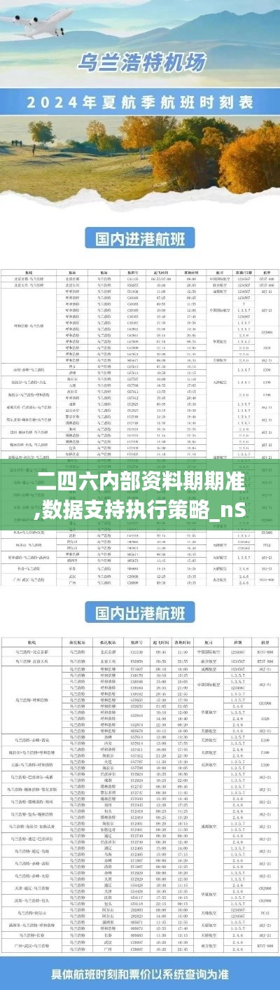 二四六內(nèi)部資料期期準(zhǔn),數(shù)據(jù)支持執(zhí)行策略_nShop8.174