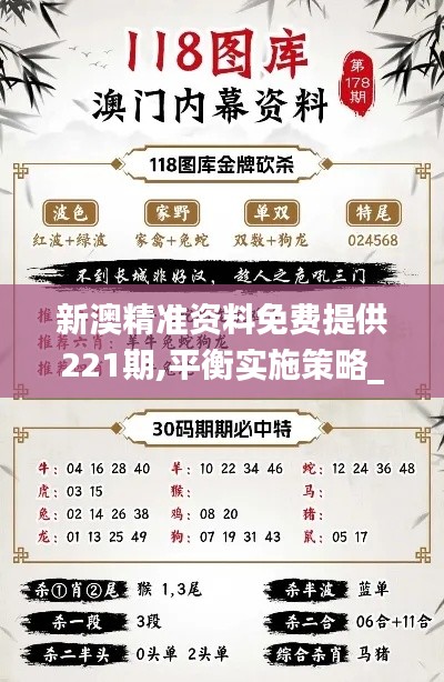 新澳精準(zhǔn)資料免費提供221期,平衡實施策略_T9.568