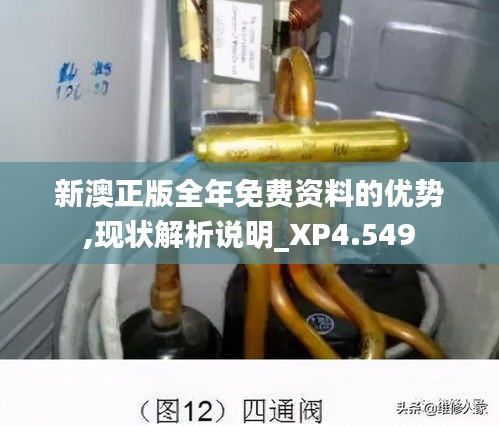 新澳正版全年免費(fèi)資料的優(yōu)勢,現(xiàn)狀解析說明_XP4.549